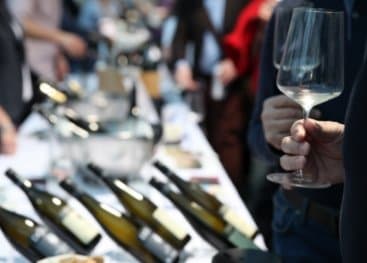 Weinliebe: Weingut Waldschütz