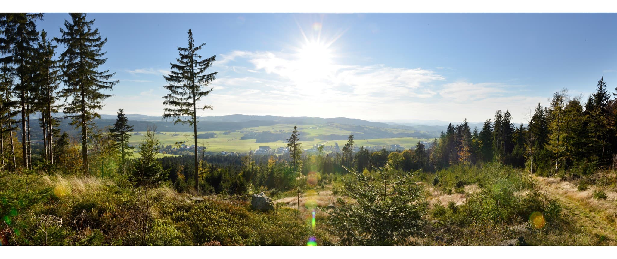 Sparkasse Sternsteintrail 2026