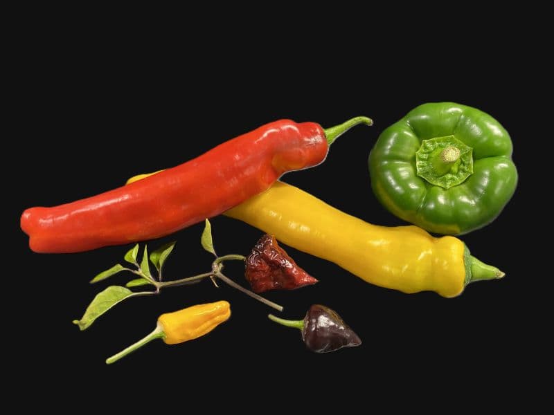 Spice Odyssey: Eine Reise in die Welt der Chili