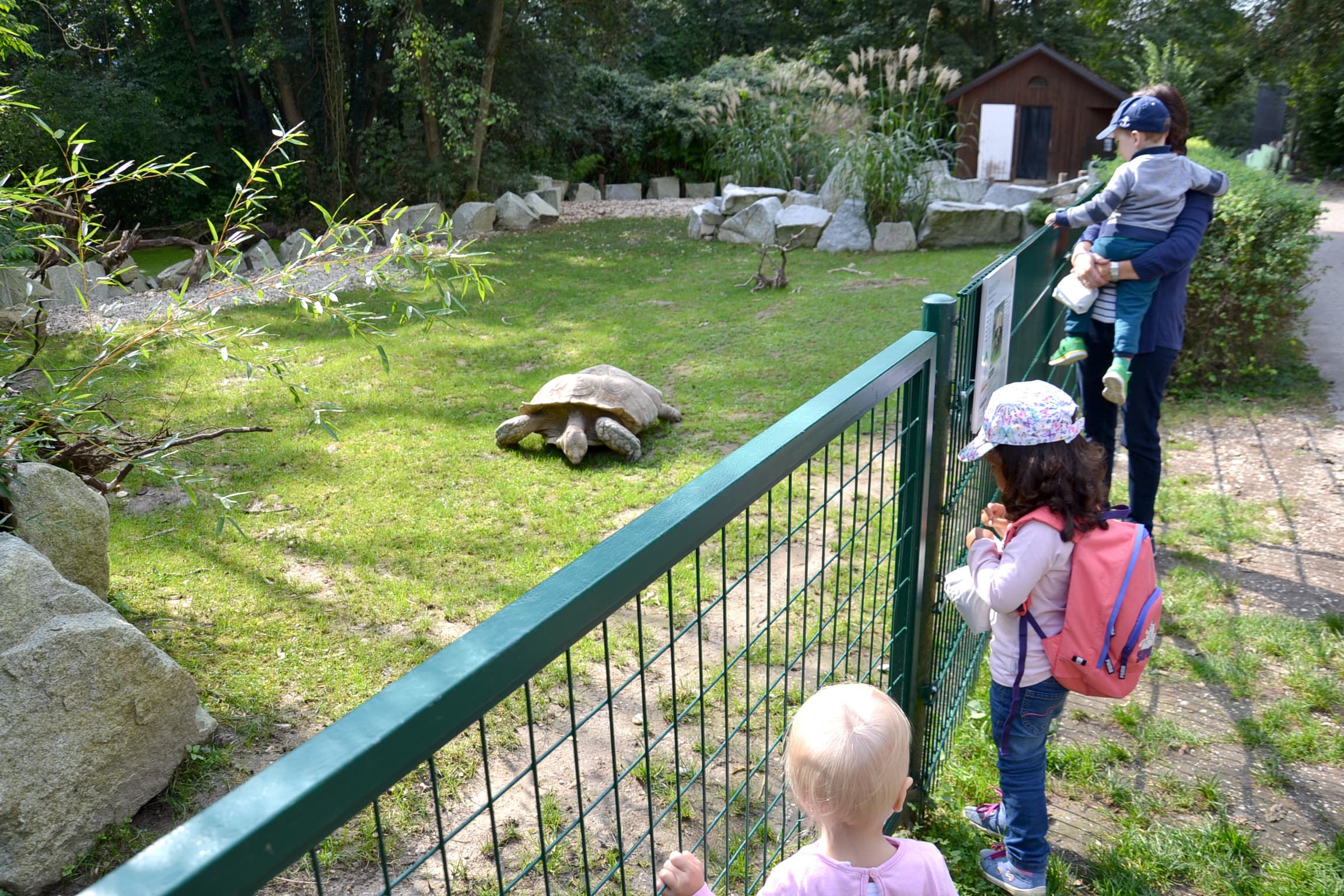 Nachtsafari durch den Zoo
