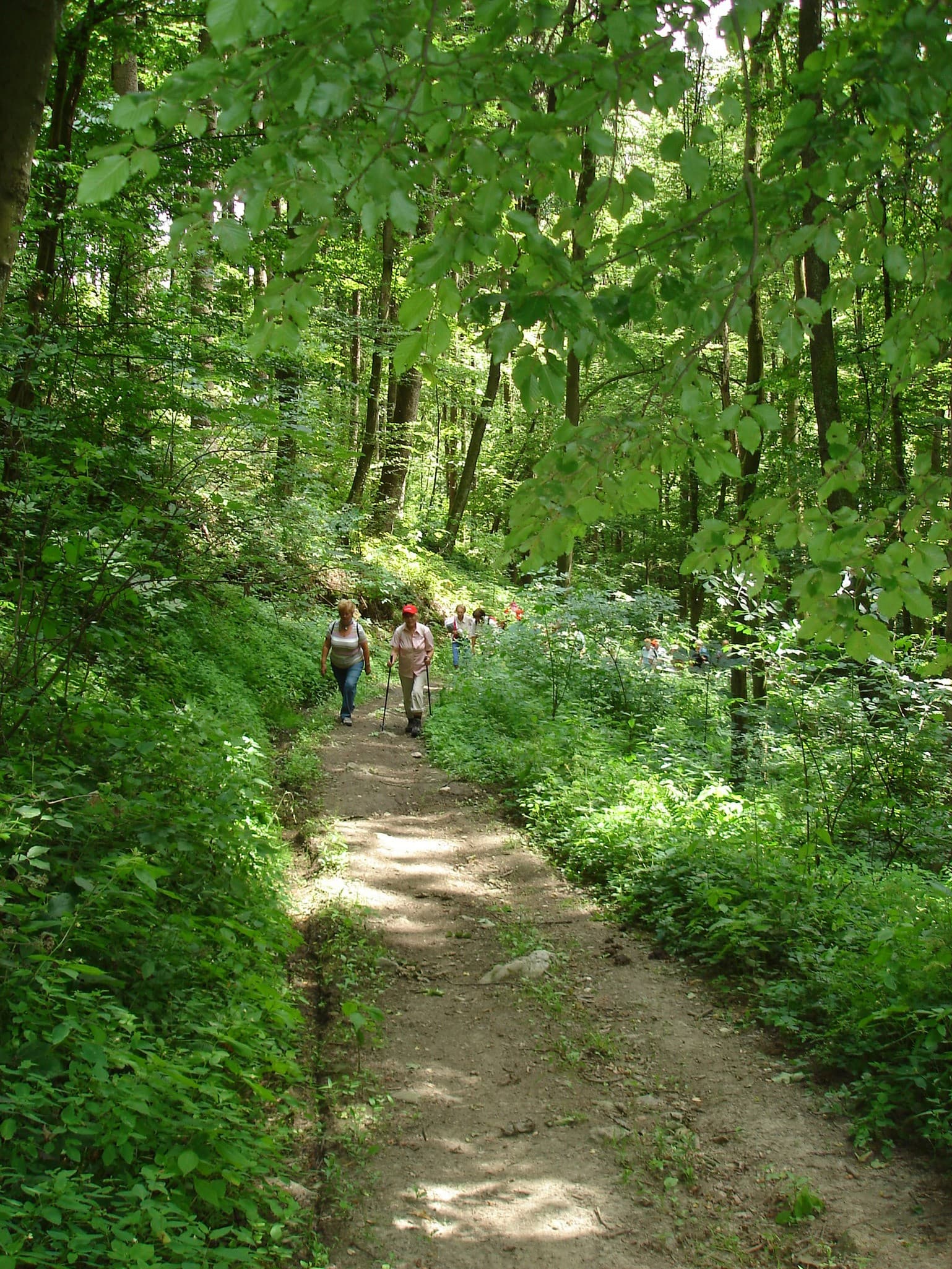 Stadtpilgern: Kaplanhofviertel-Auhof-Freinberg