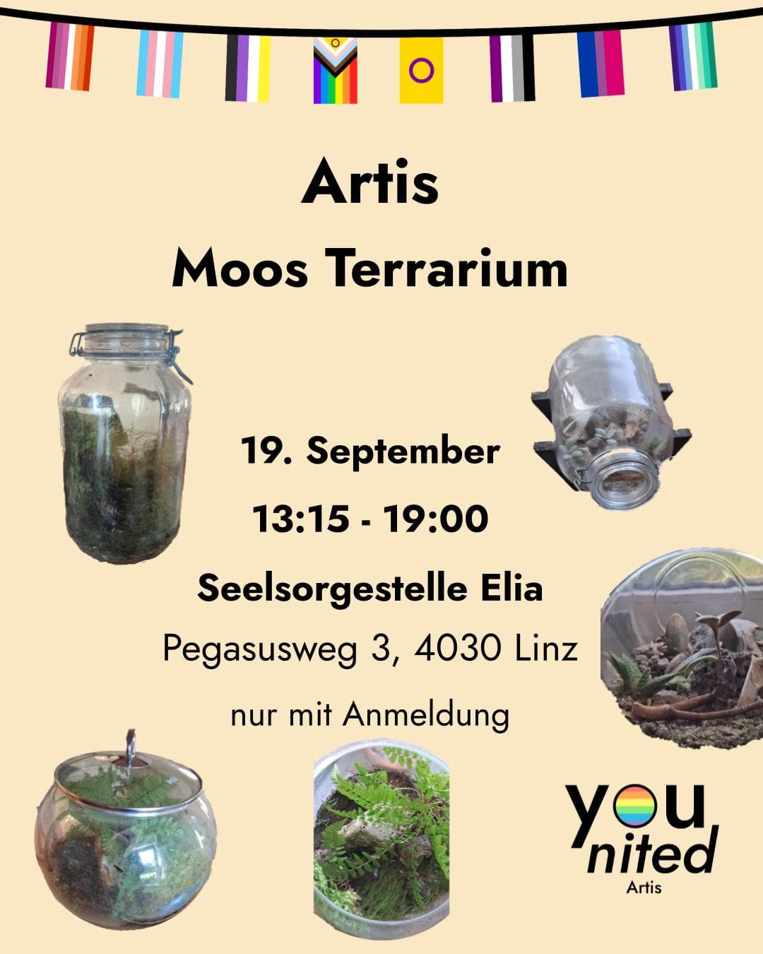 Artis Moos – Terrarium