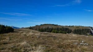 ÖAV Tour: Waldpädagogische Wanderung