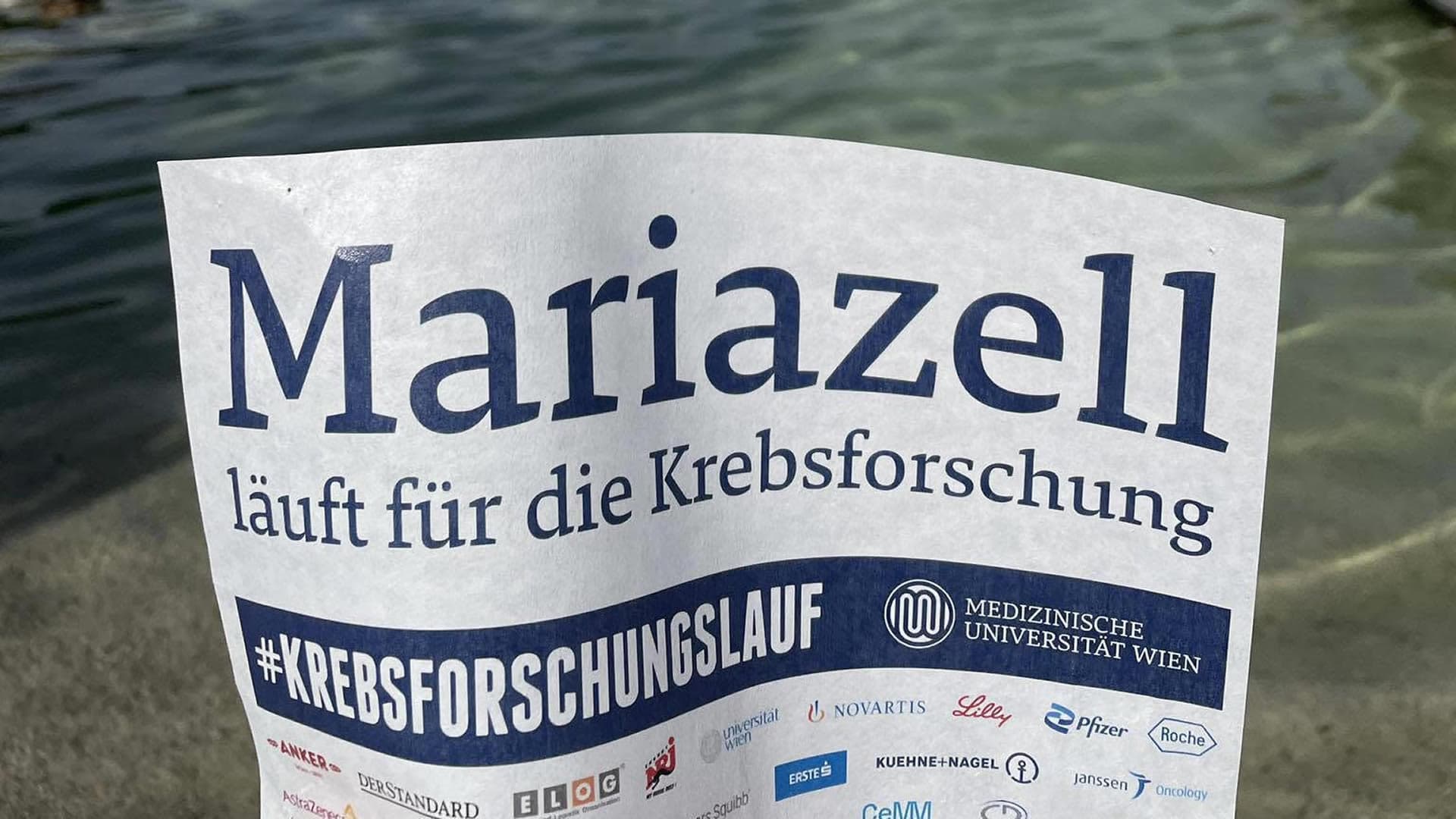 Krebsforschungslauf 2026 in Mariazell