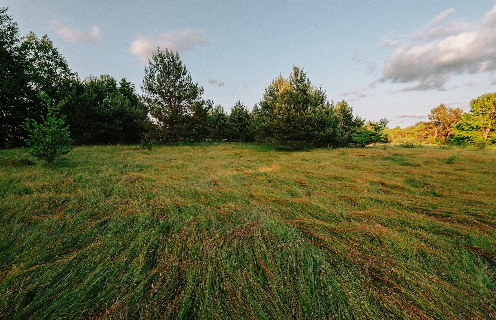 Long Night of Nature Parks – Between Starry Sky and Nocturnal Wildlife