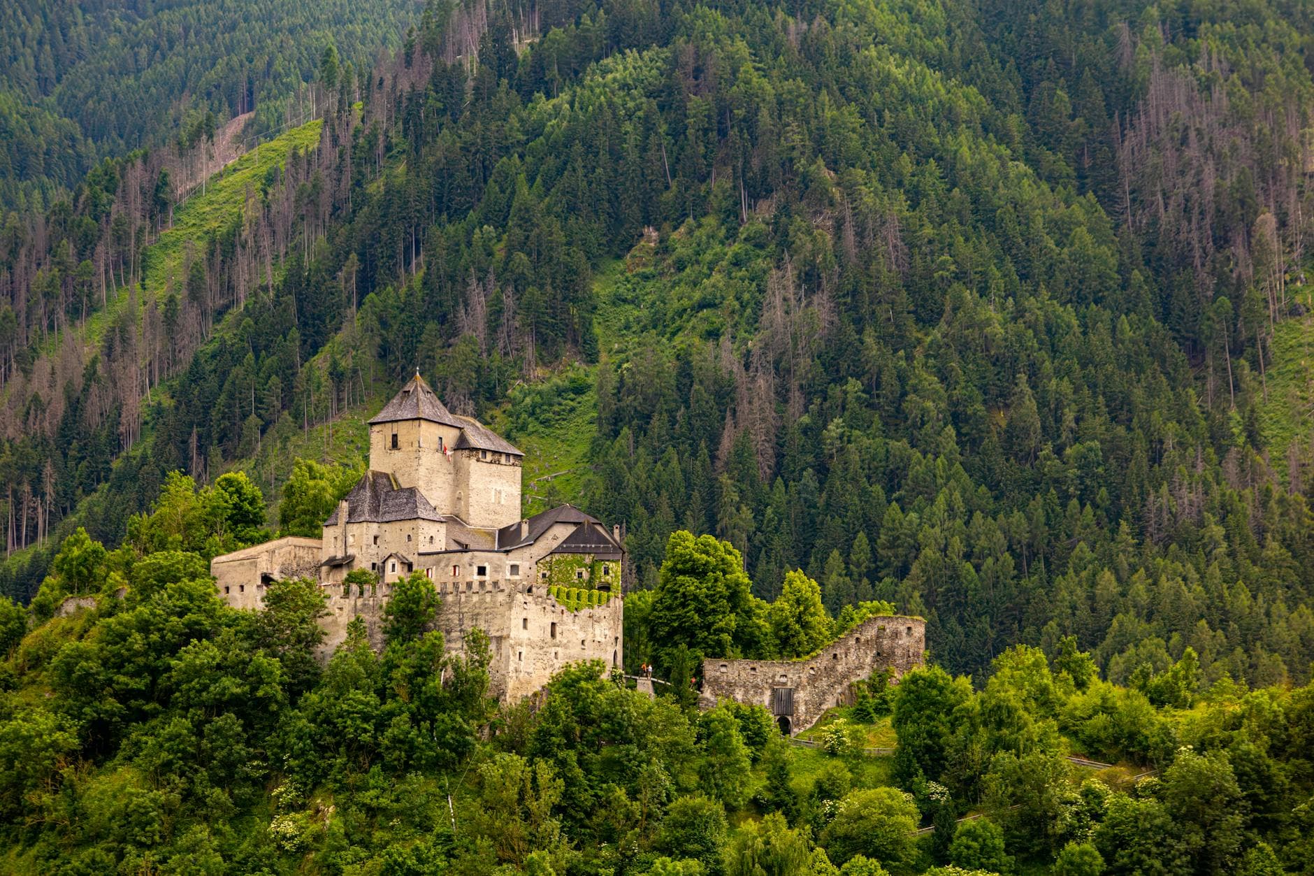 Ganslwochen