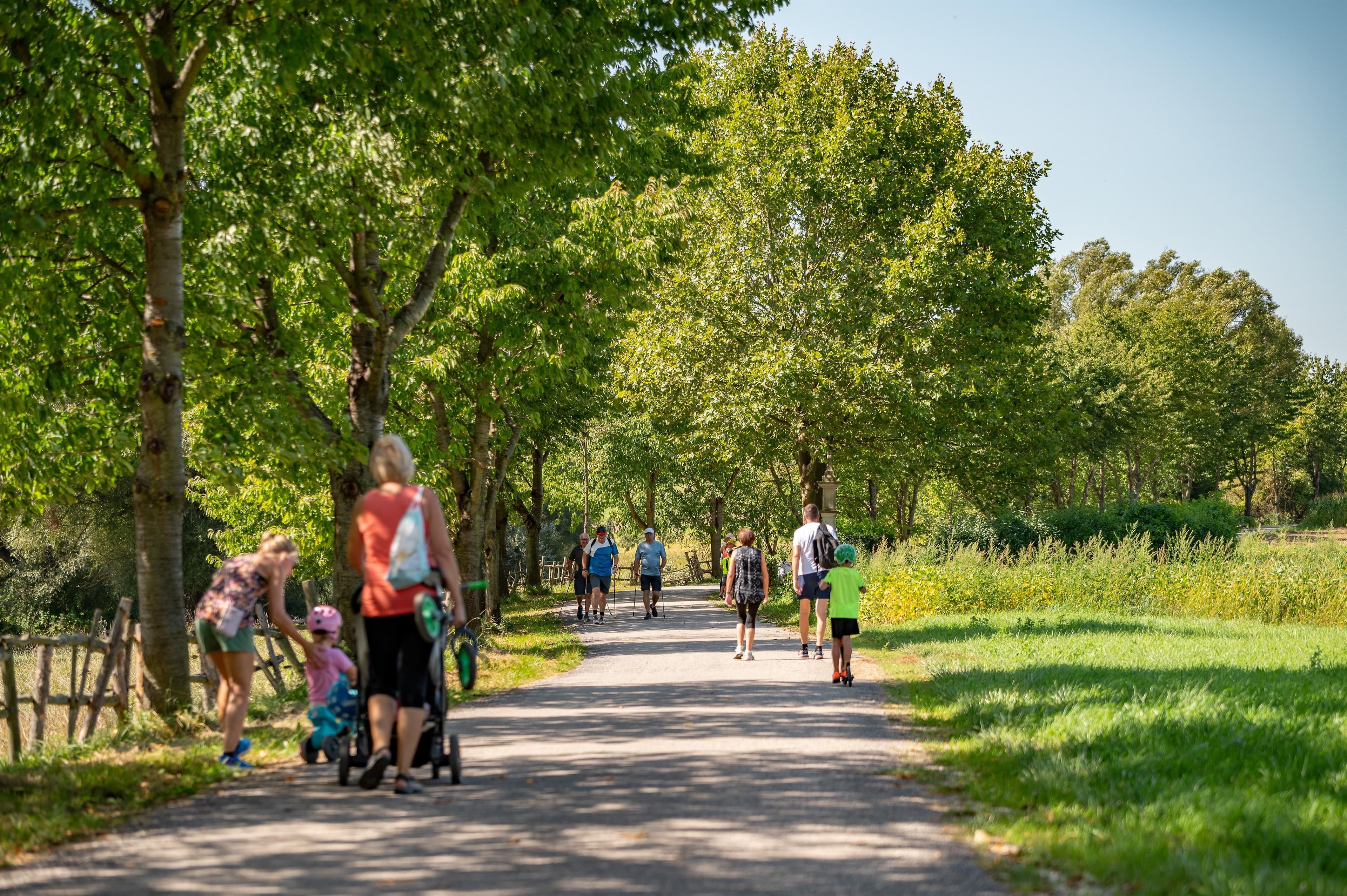 4. Genusswandertag am Kogelberg - Start Obstsortengarten Rohrbach