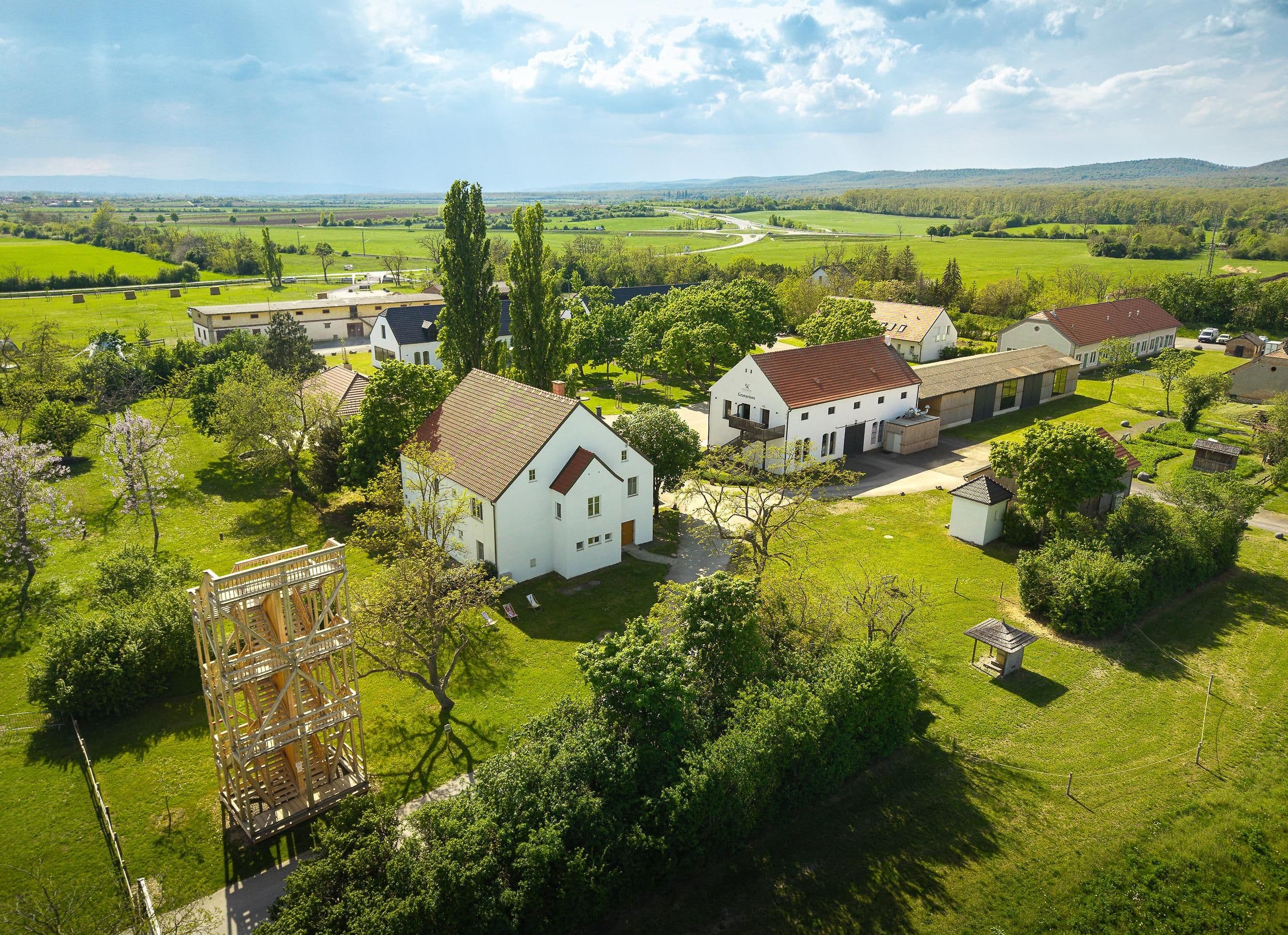 Gans am Neusiedlersee im Bio-Landgut Esterhazy