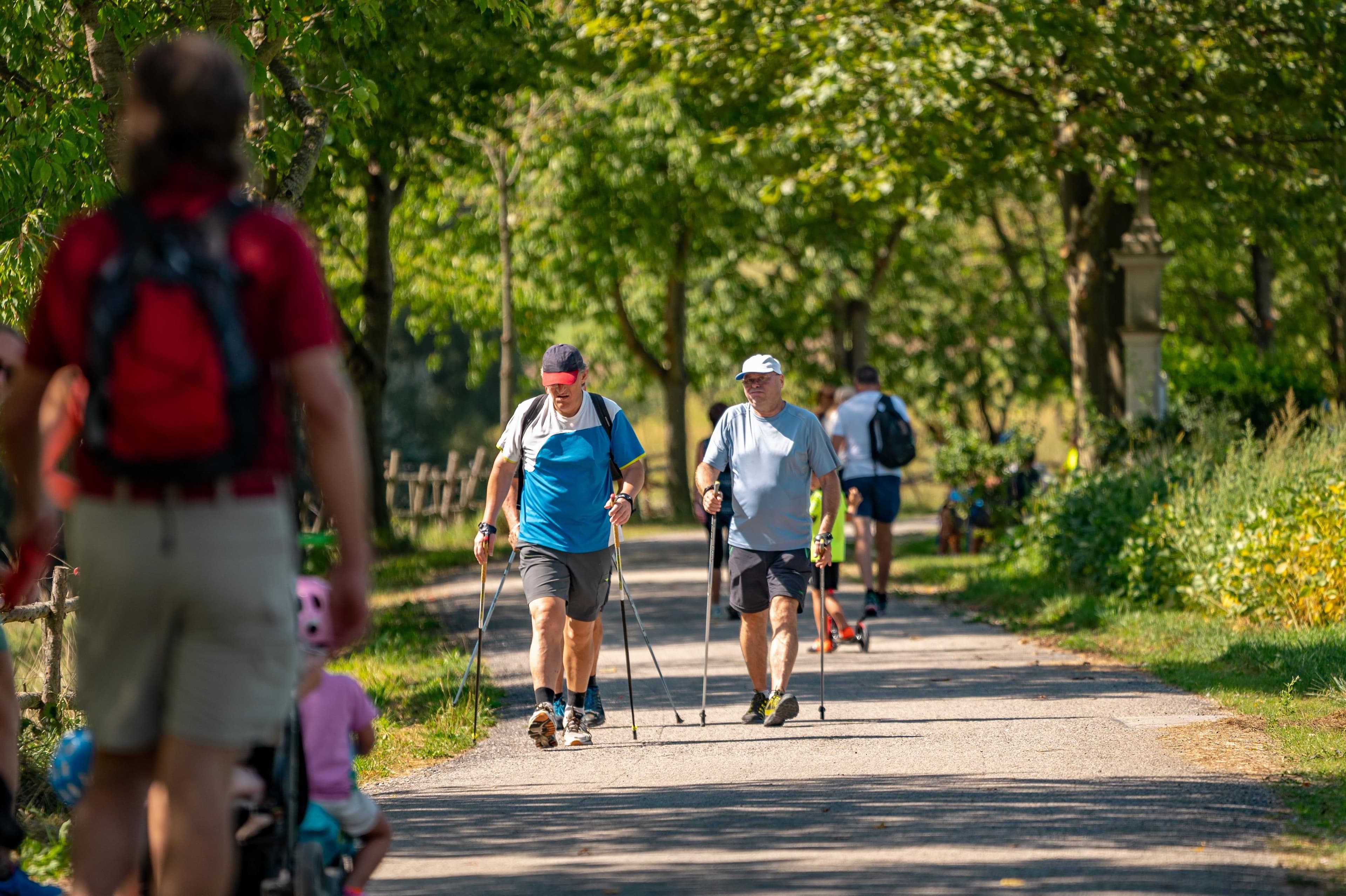 4. Genusswandertag am Kogelberg - Start Dreieckswiese