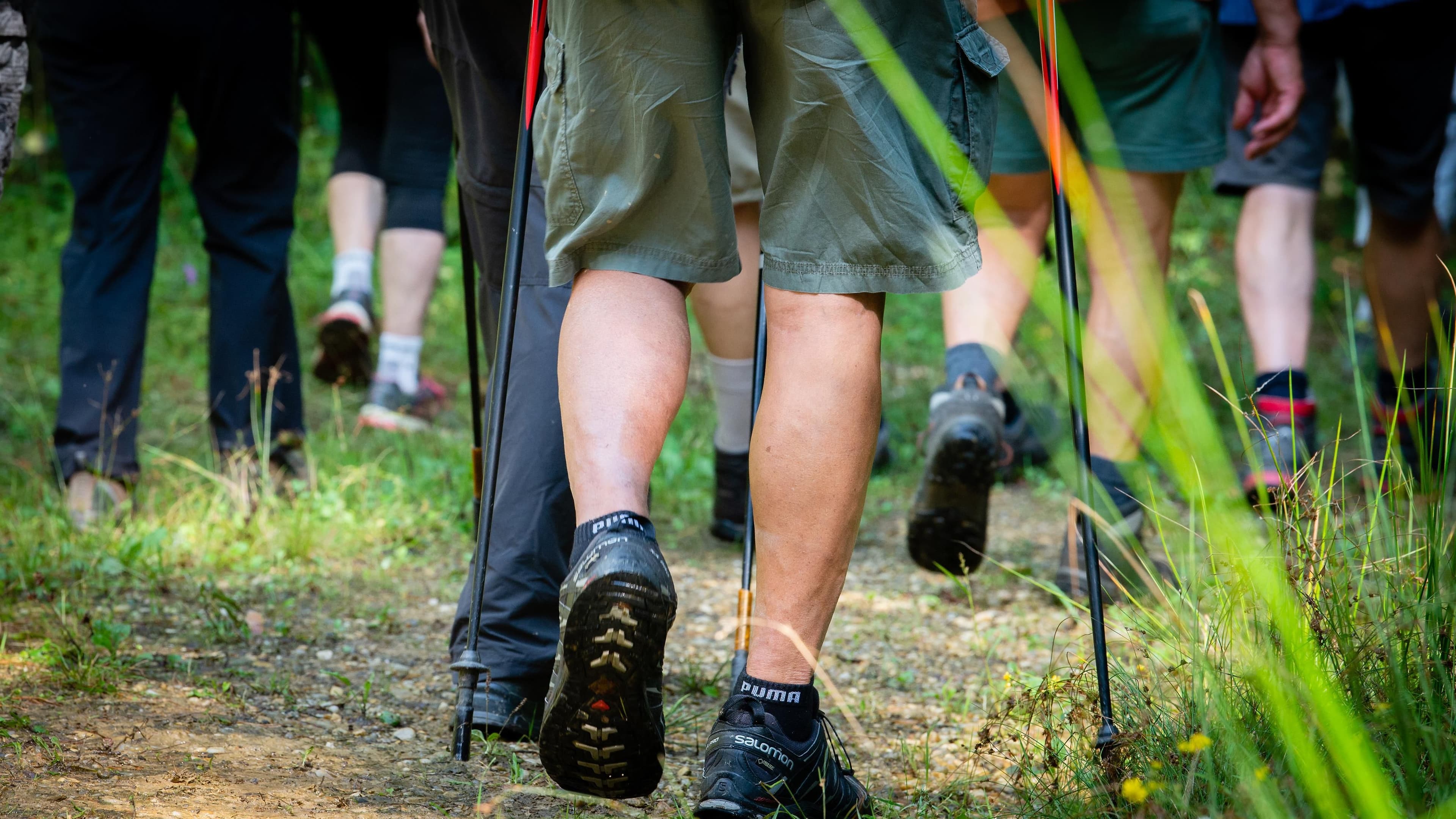 Grenzenlose Streuobstkulinarik
