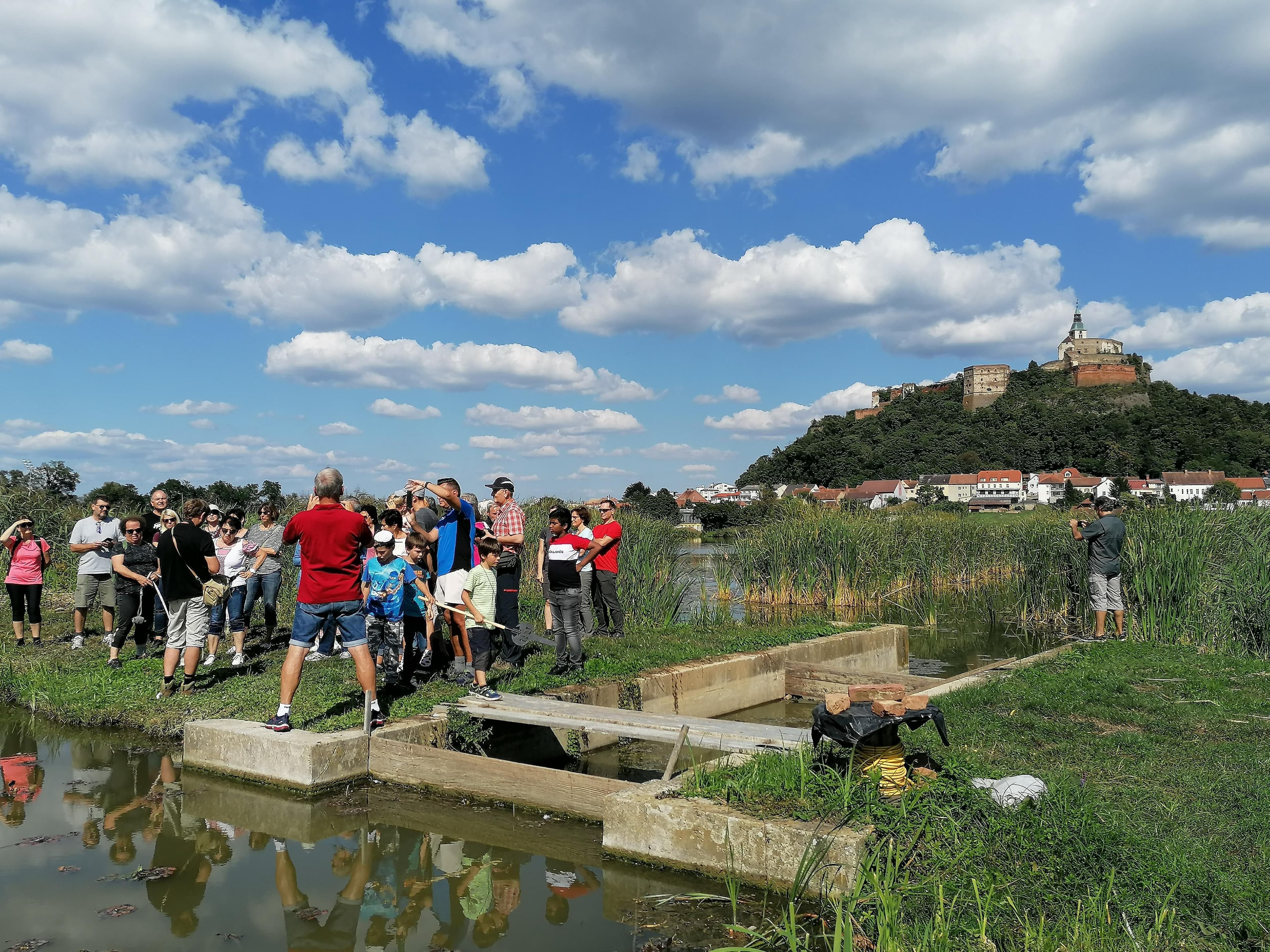 Birdwatching-Tour in Güssing
