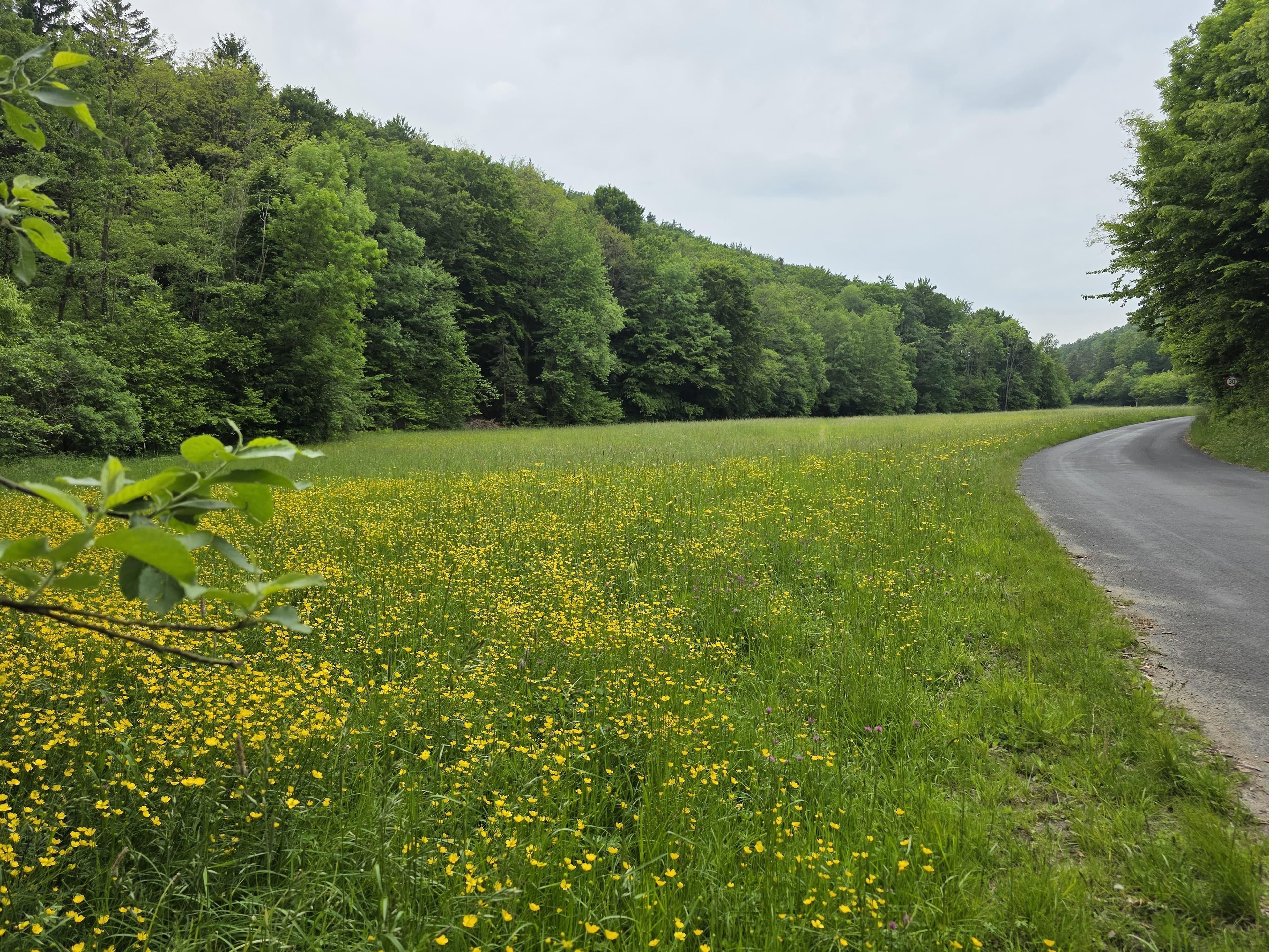 Achtsamer inklusiver Waldspaziergang im Naturpark - Naturerlebnistage