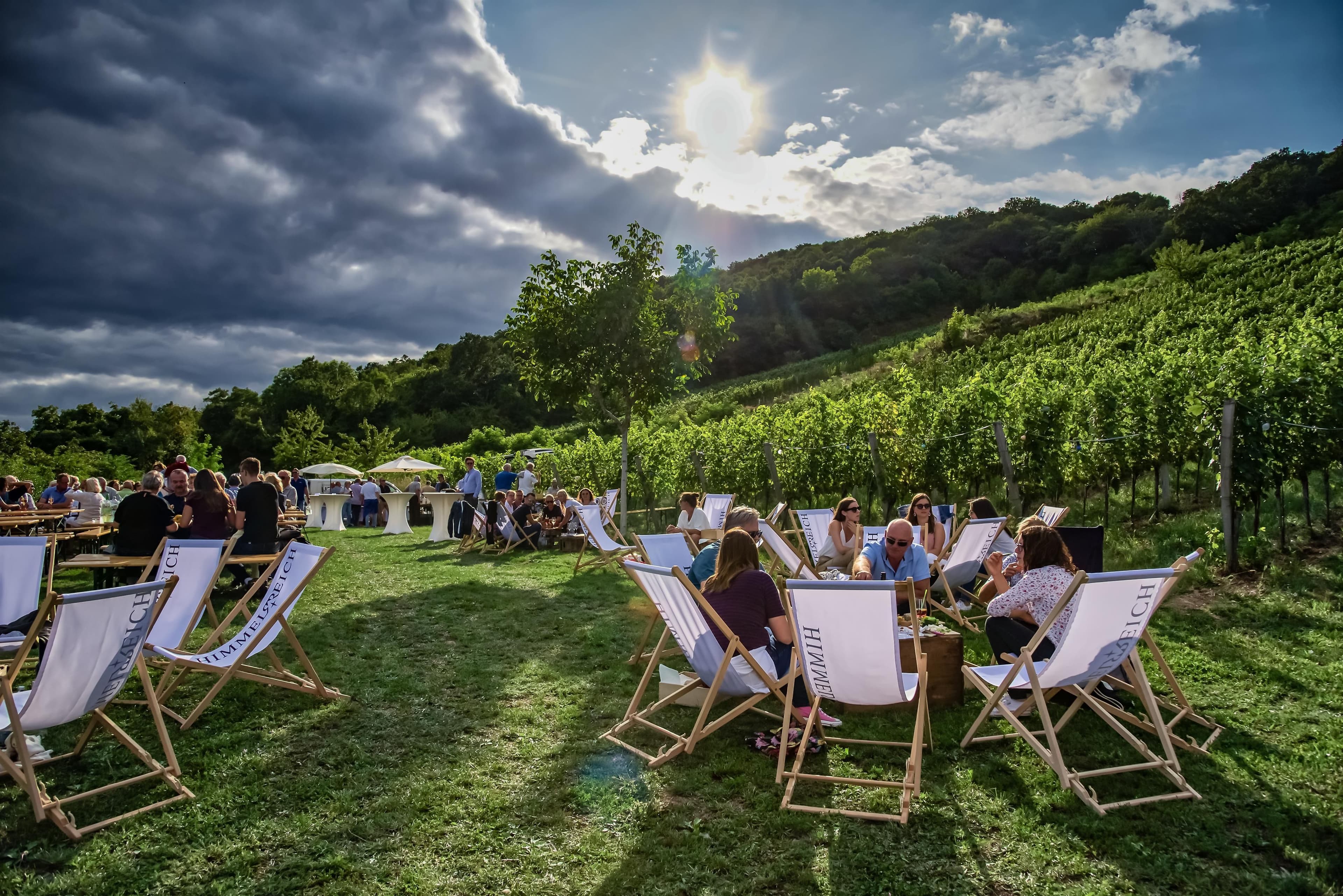 Weinpicknick im Himmelreich