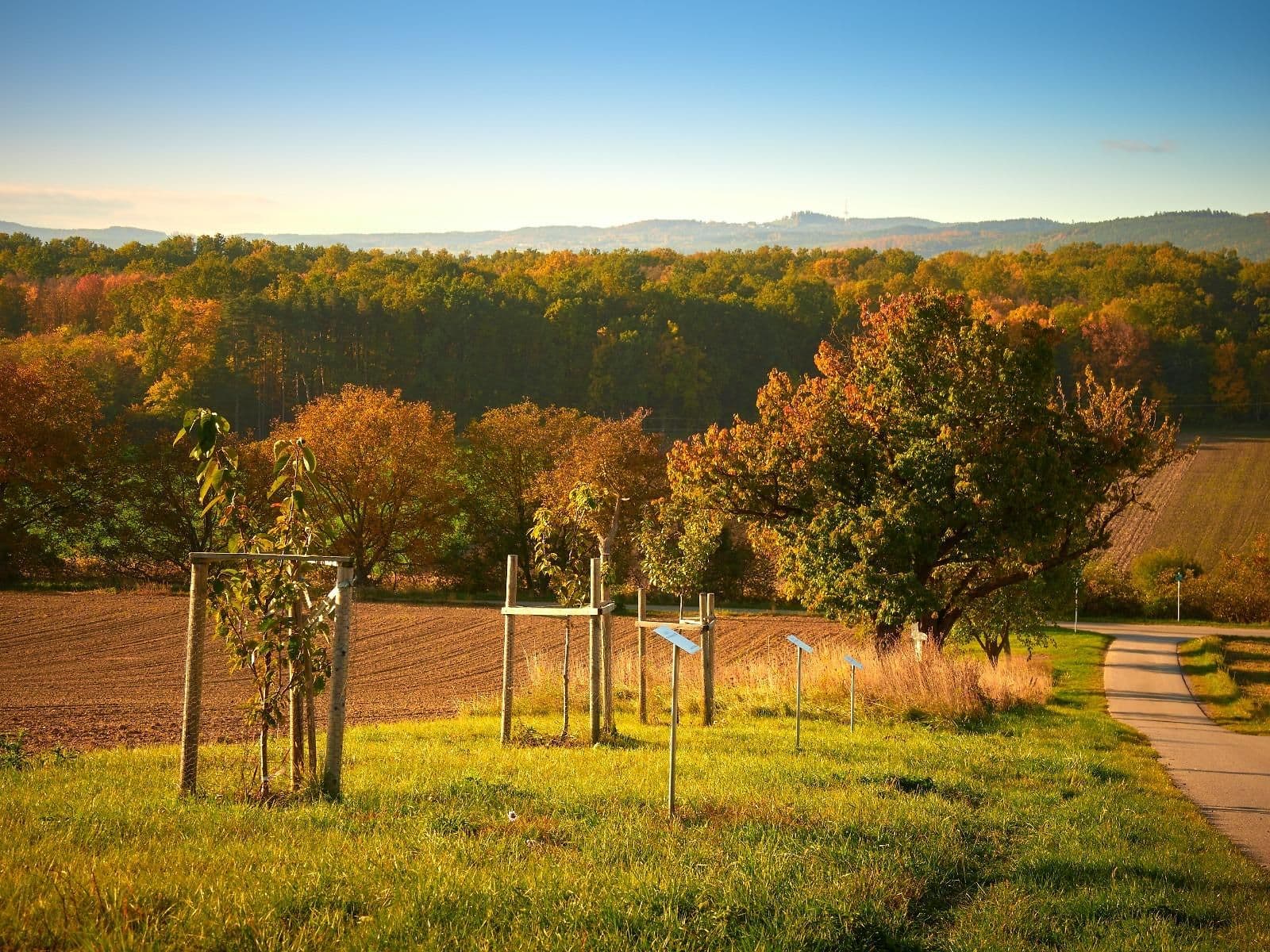 Herbst im Revier - Natur & Jagd erleben - Naturerlebnistage