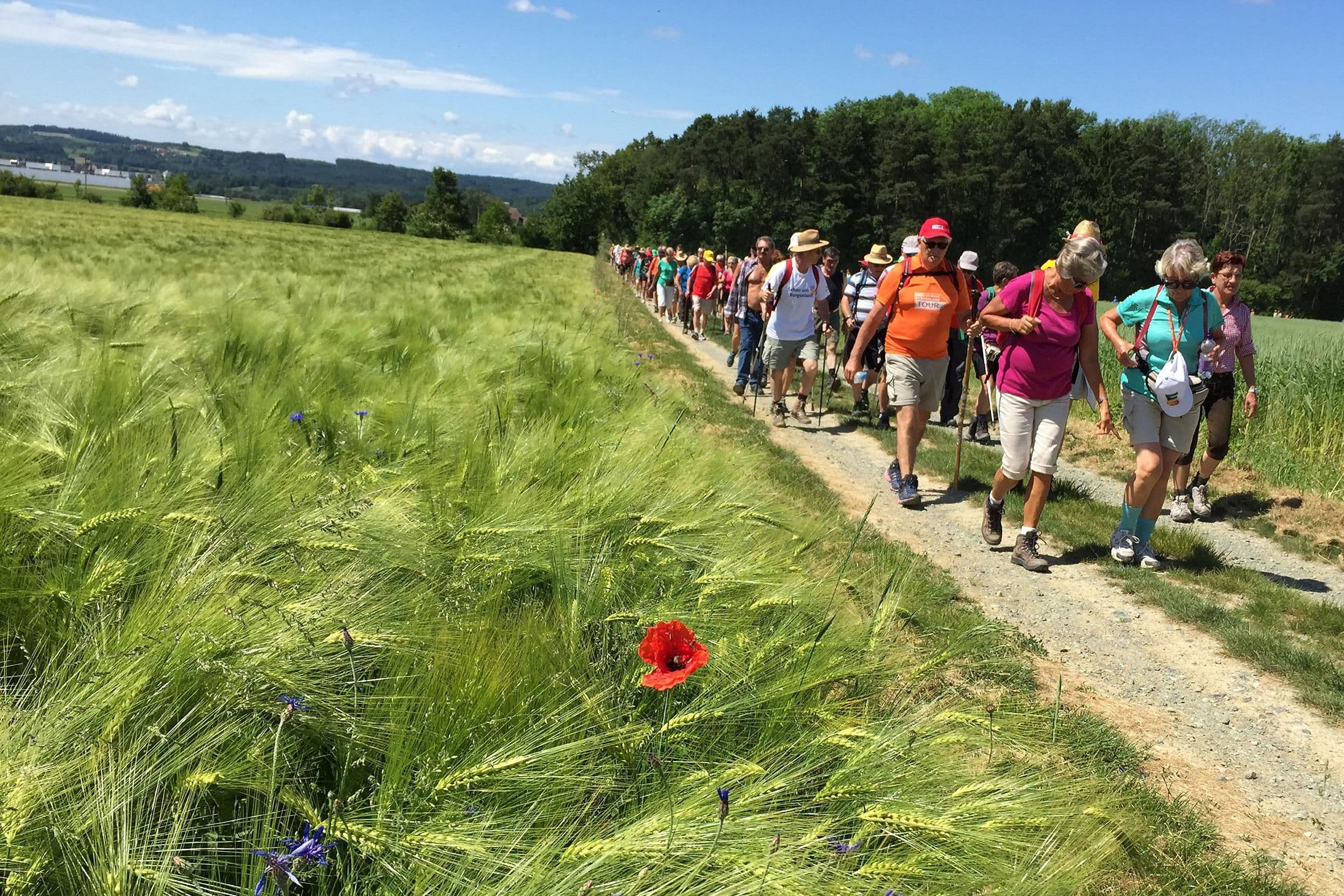 Große Burgenland Tour - Sieggraben