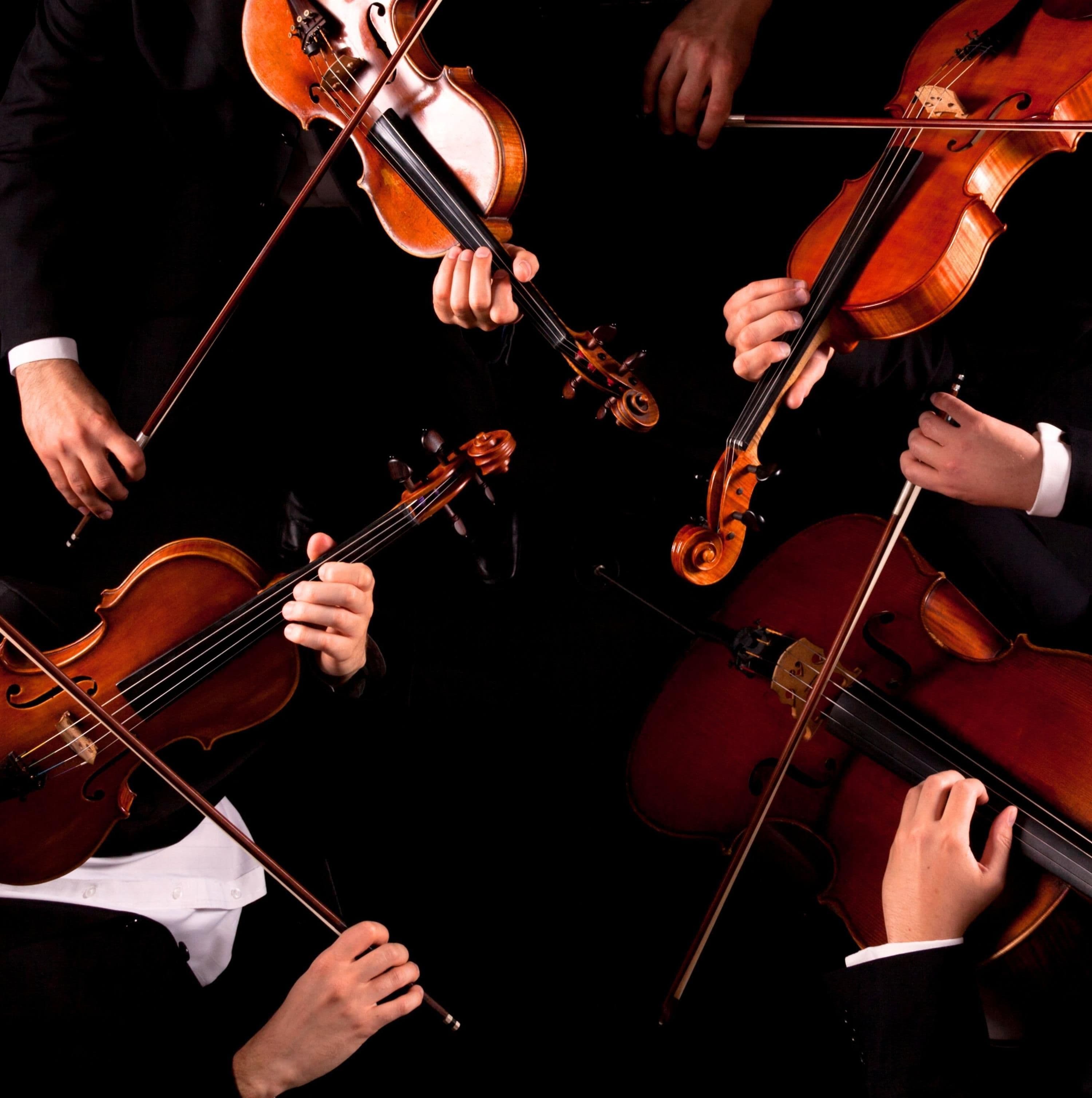 Lichtglanz und Schattenklänge - Konzert Studierenden Joseph Haydn Privathochs.