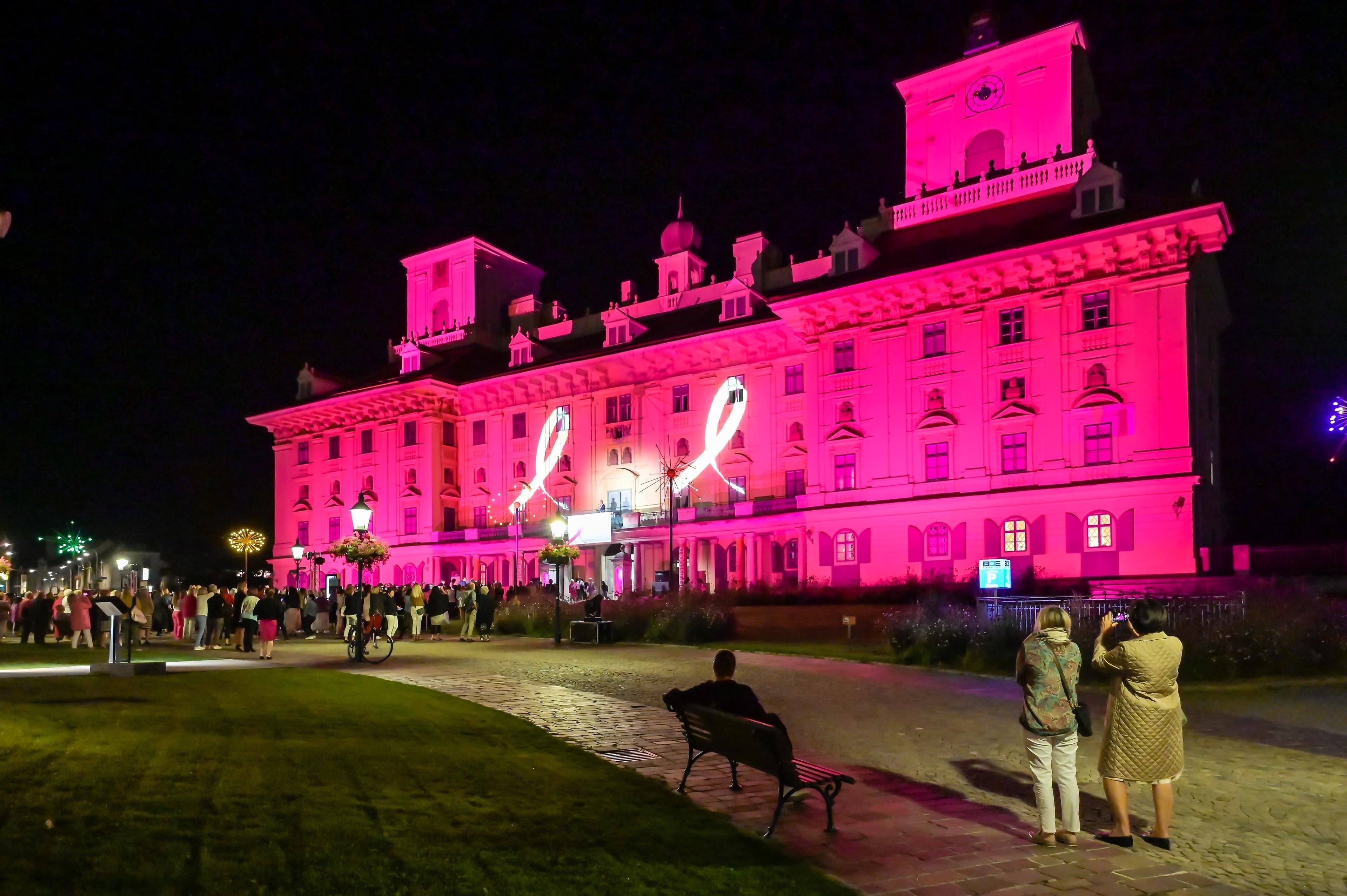 Pink Ribbon Benefizabend
