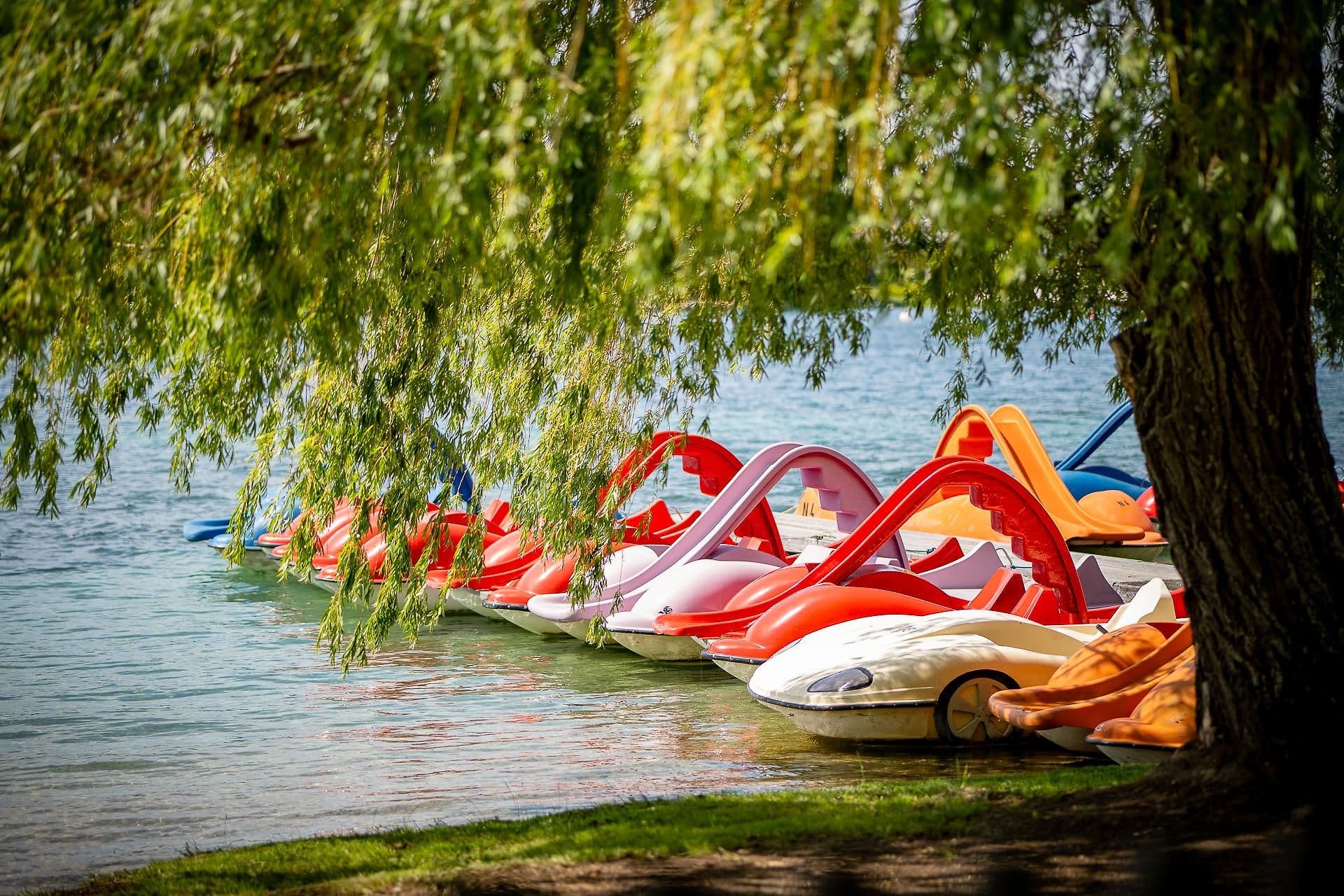 See Opening: Familienfest am Neufelder See