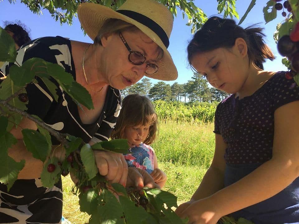 Kirschenzauber für Kinder - "Zur Kirschernte"