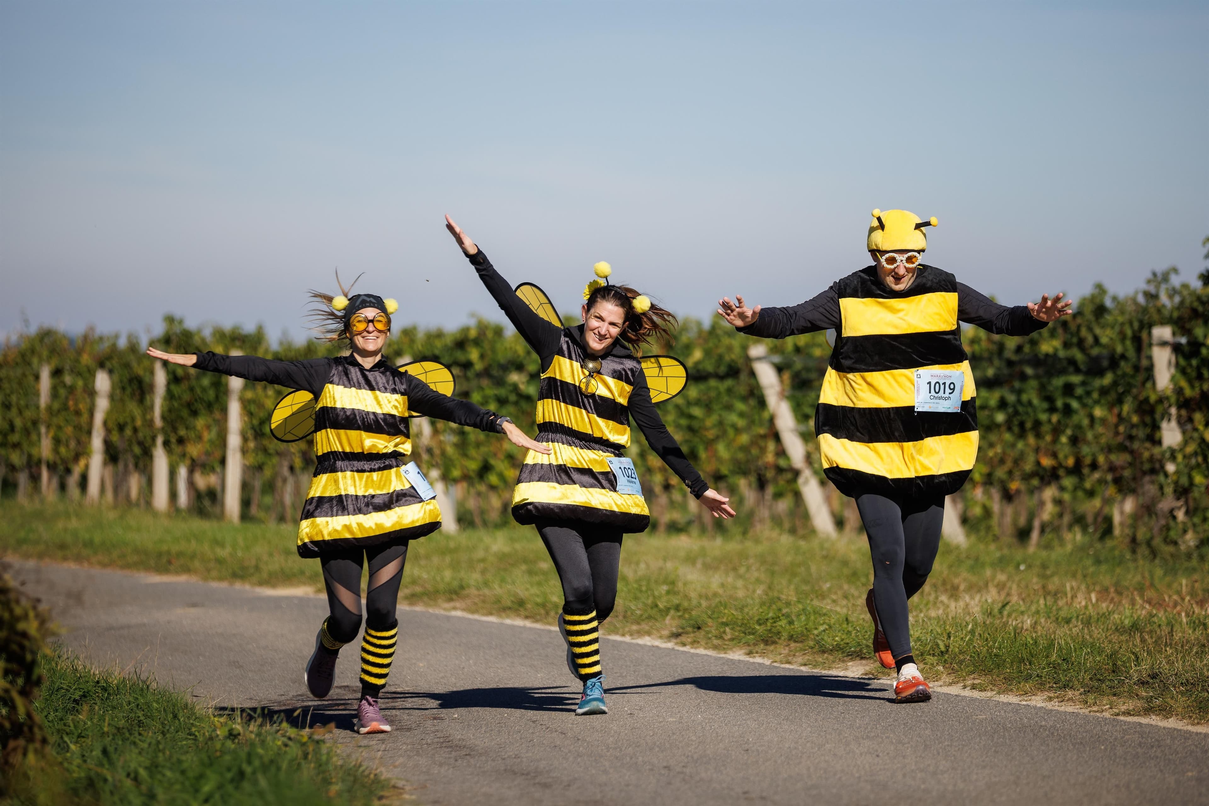 5. Blaufränkischland Marathon