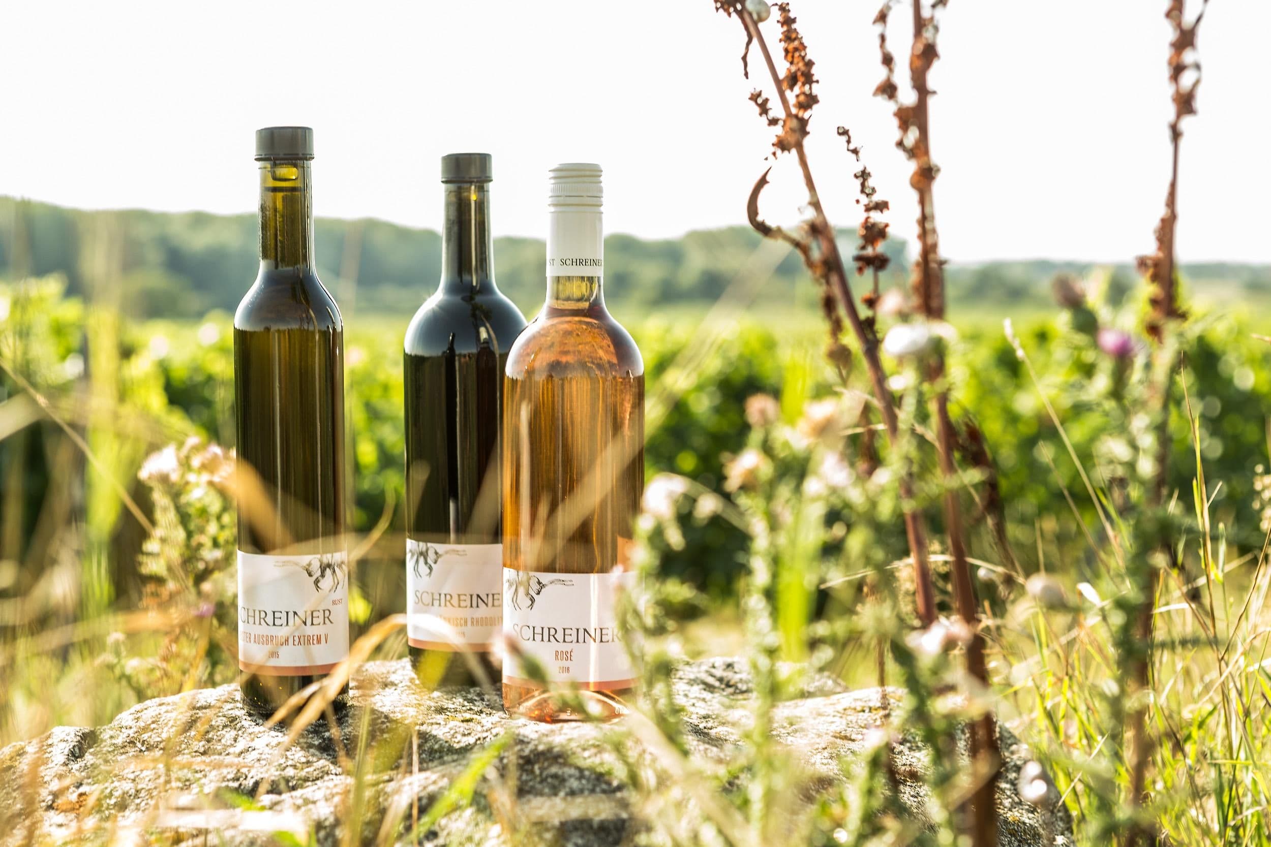 Wein, Brot und Spiele