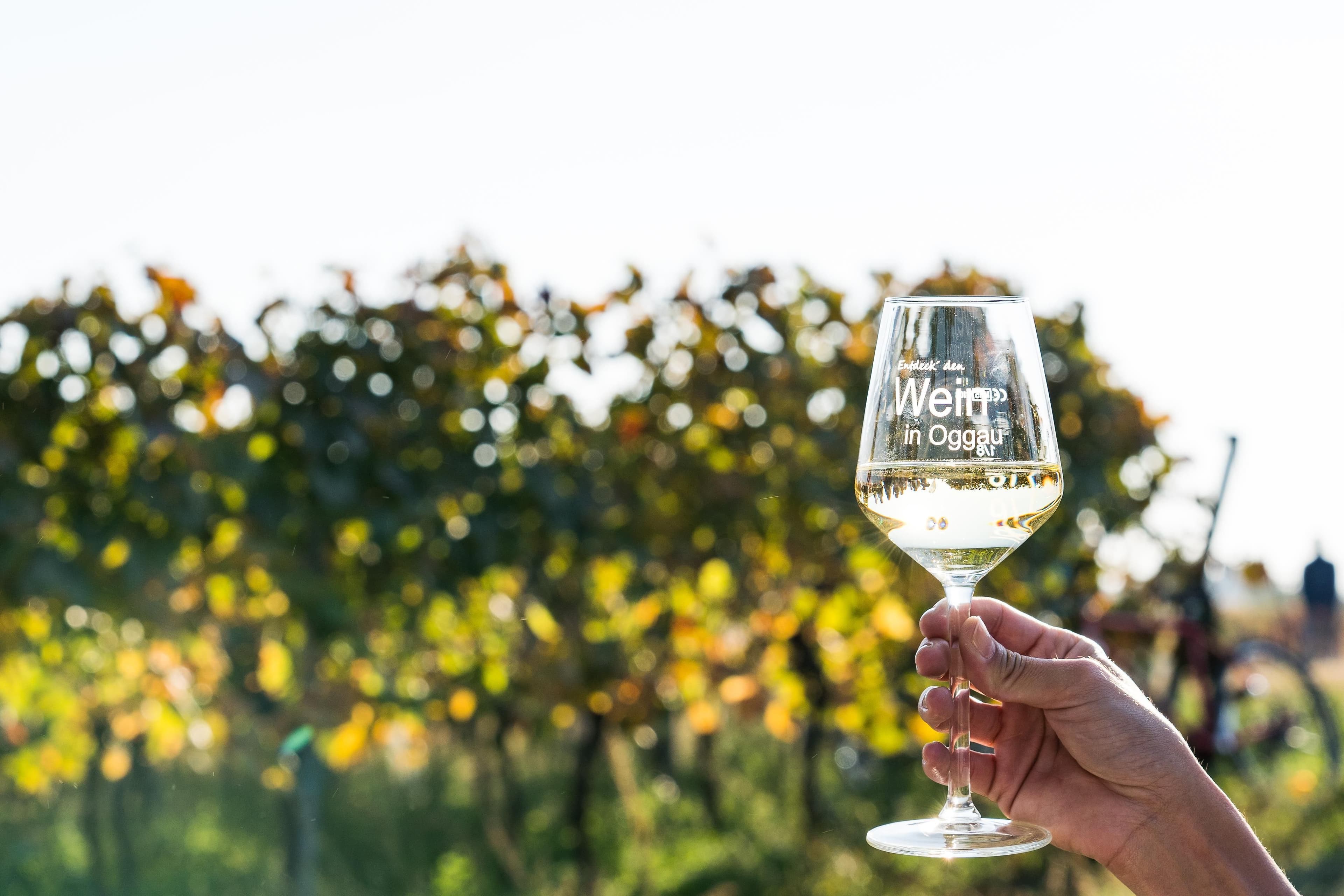 Oggauer Weinglück