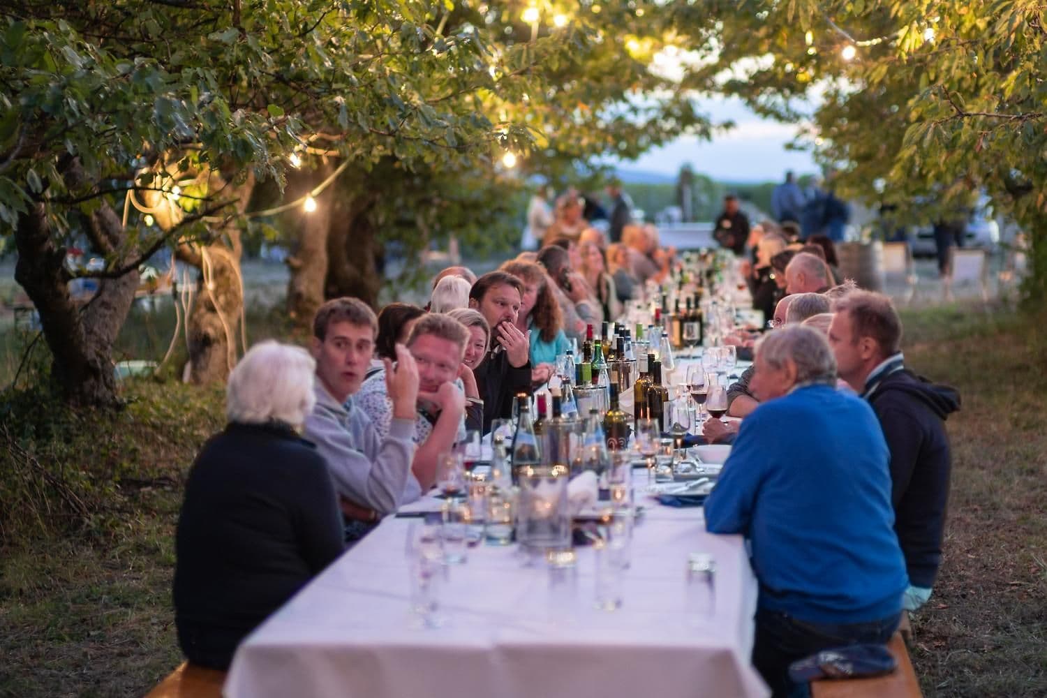 WEIN.GENUSS - Winzertafel am Weinberg