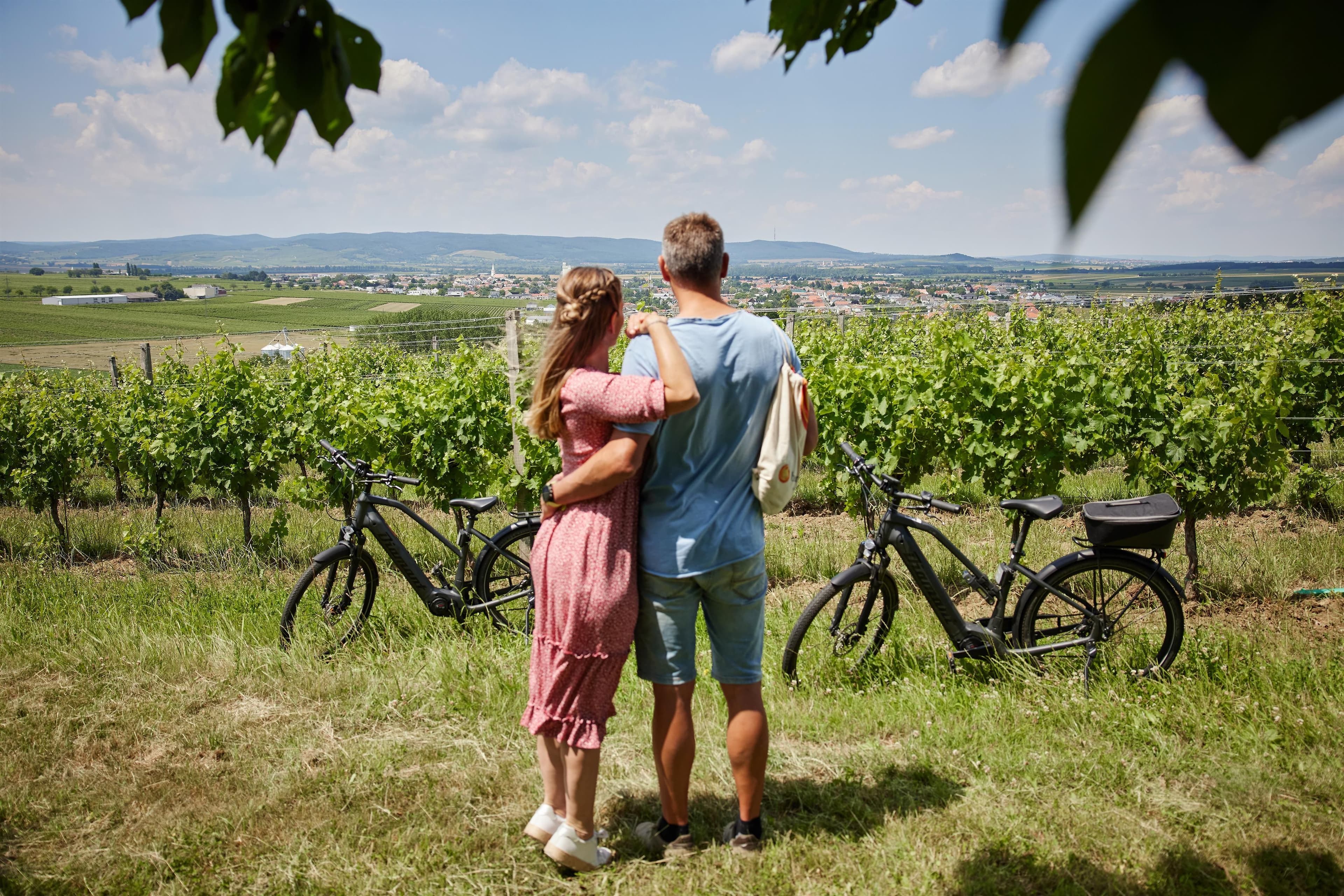 Gourmet Radeln im Blaufränkischland