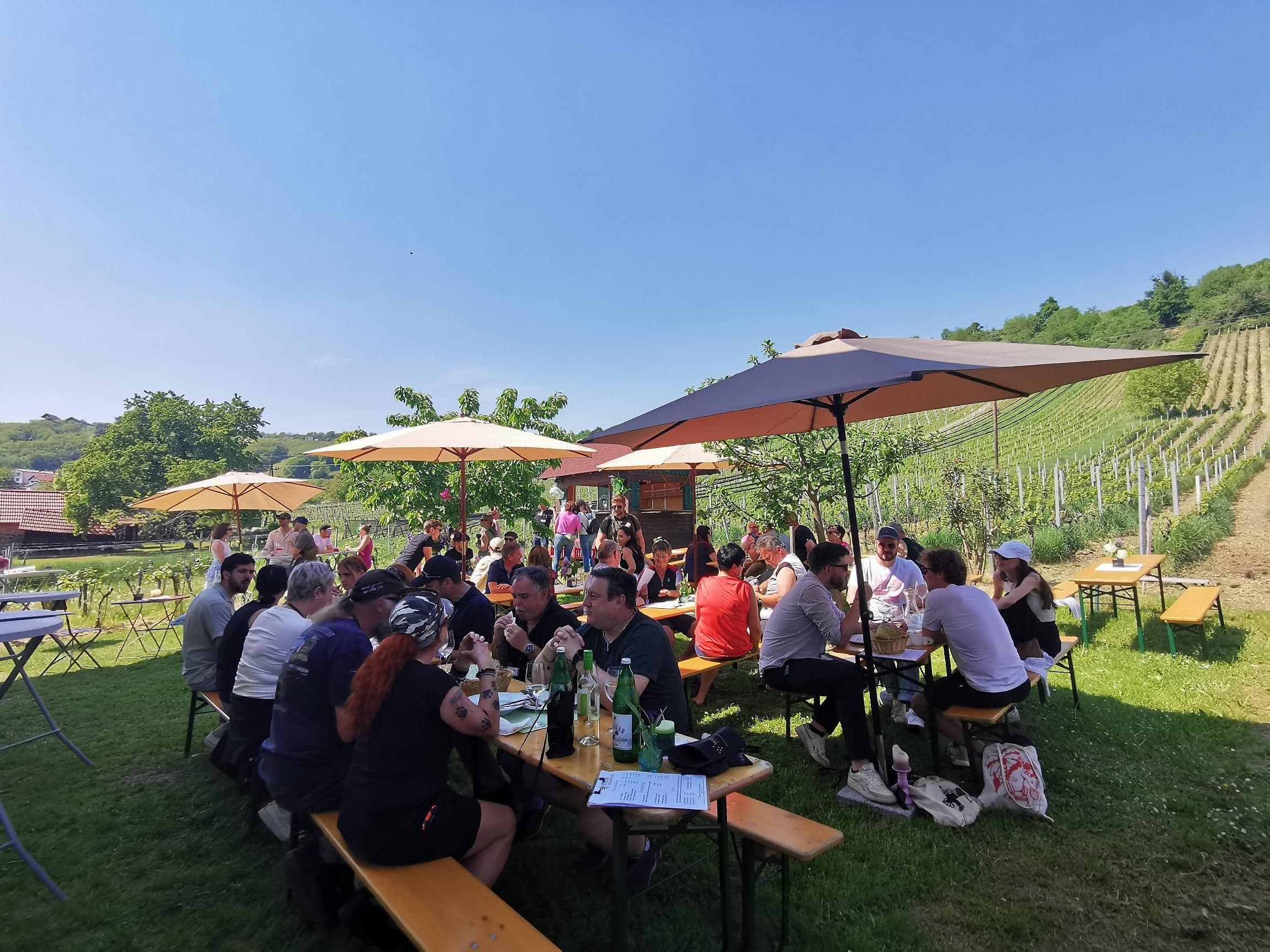 Wein Bergfest