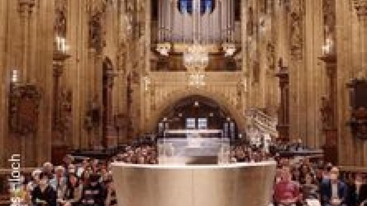 Riesen-Orgel-Konzerte im Stephansdom