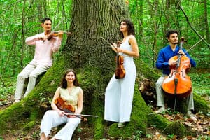 Beethoven � Schönberg � Turkevich