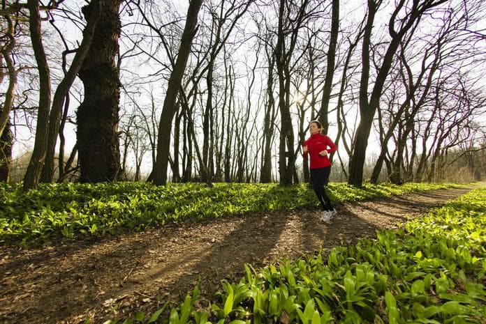 Lauf- und Walkingtreff der Parktherme