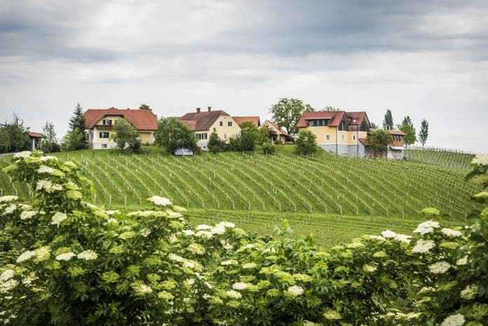 Kabarett am Weinhof in Khünegg