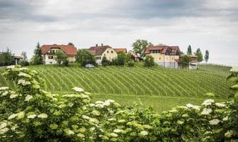 Kabarett am Weinhof in Khünegg