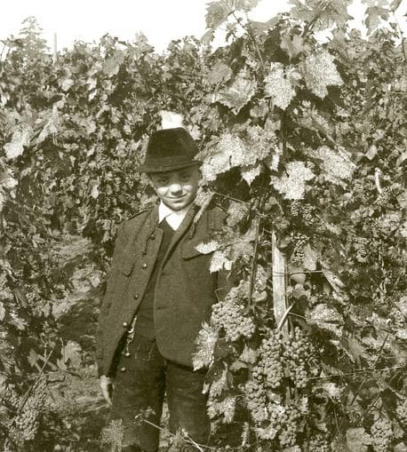 Spezialführung „Vom Radkersburger Weinmonopol zum Doppelbesitz“