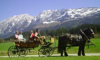 Pferdekutschenfahrten "Familie Neuper"