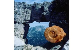Vortrag- "Unsere Berge, Steine und Fossilien"