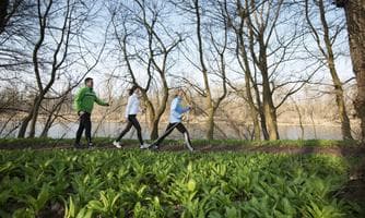 Lauf- und Walkingtreff der Parktherme