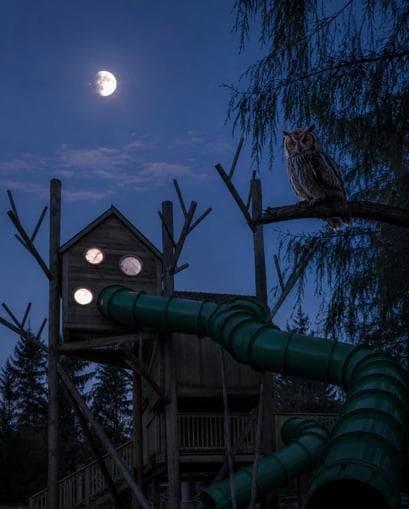 Waldforscher-Nacht beim Waldpark Hochreiter