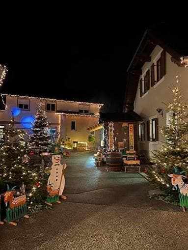 Besuch vom Krampus beim Weihnachtsdorf am Maluhof
