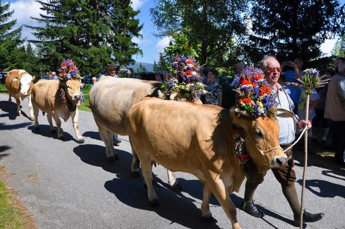 Almabtrieb von der Mönichwalder Schwaig