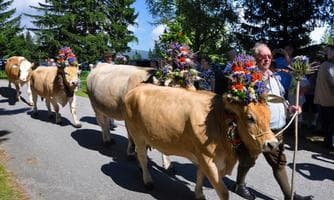 Almabtrieb von der Mönichwalder Schwaig