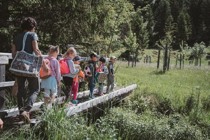 Sommererlebnistage Sterne, Zelt & Wildnisnacht