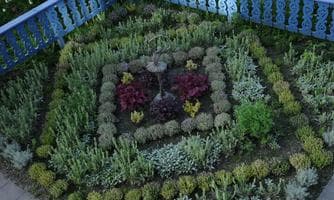 Kräuterführung - Alte Hausmittel, Salben & Tinkturen im Sulamith Garten
