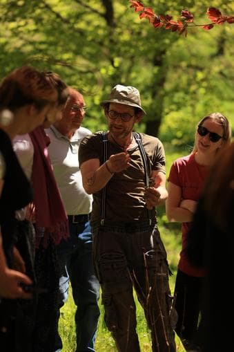Kräuterworkshop "Tinkturen,Salben & Öle"