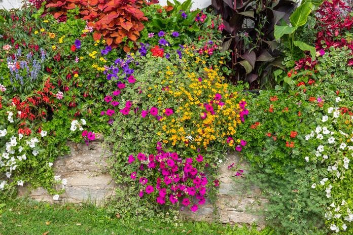 40. Blumenwanderung in Pöllauberg