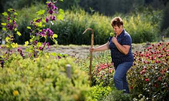 Tag der offenen Kräutergartentür "Über´n Zaun g´schaut"