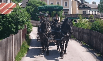 Pferdekutschenfahrten "Am Seebacherhof"