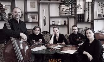 Wiener Kammersymphonie "Serenade" ABO Konzert in Fürstenfeld