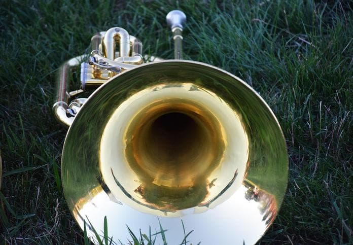 Musik im Park-Frühschoppen- Musikverein Anger